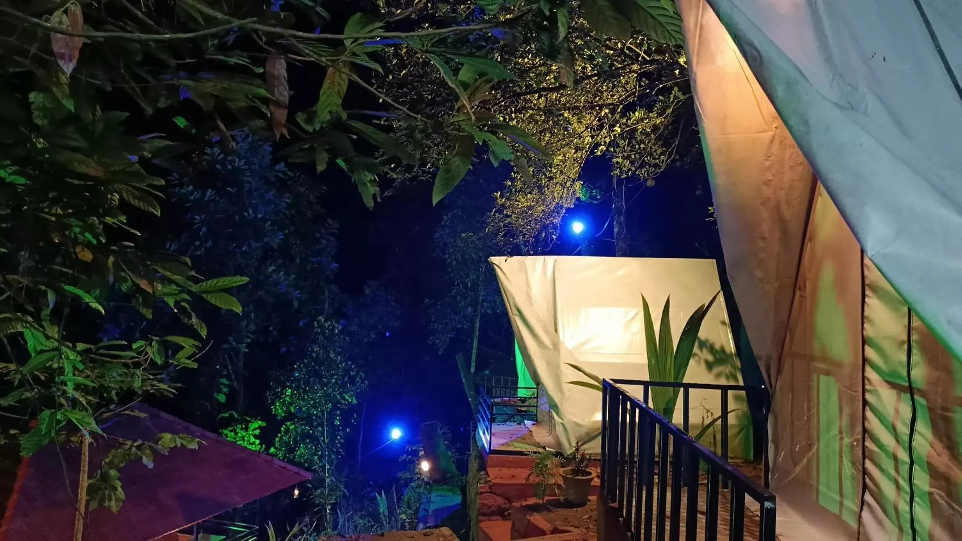 Campsite Woods Inn Munnar